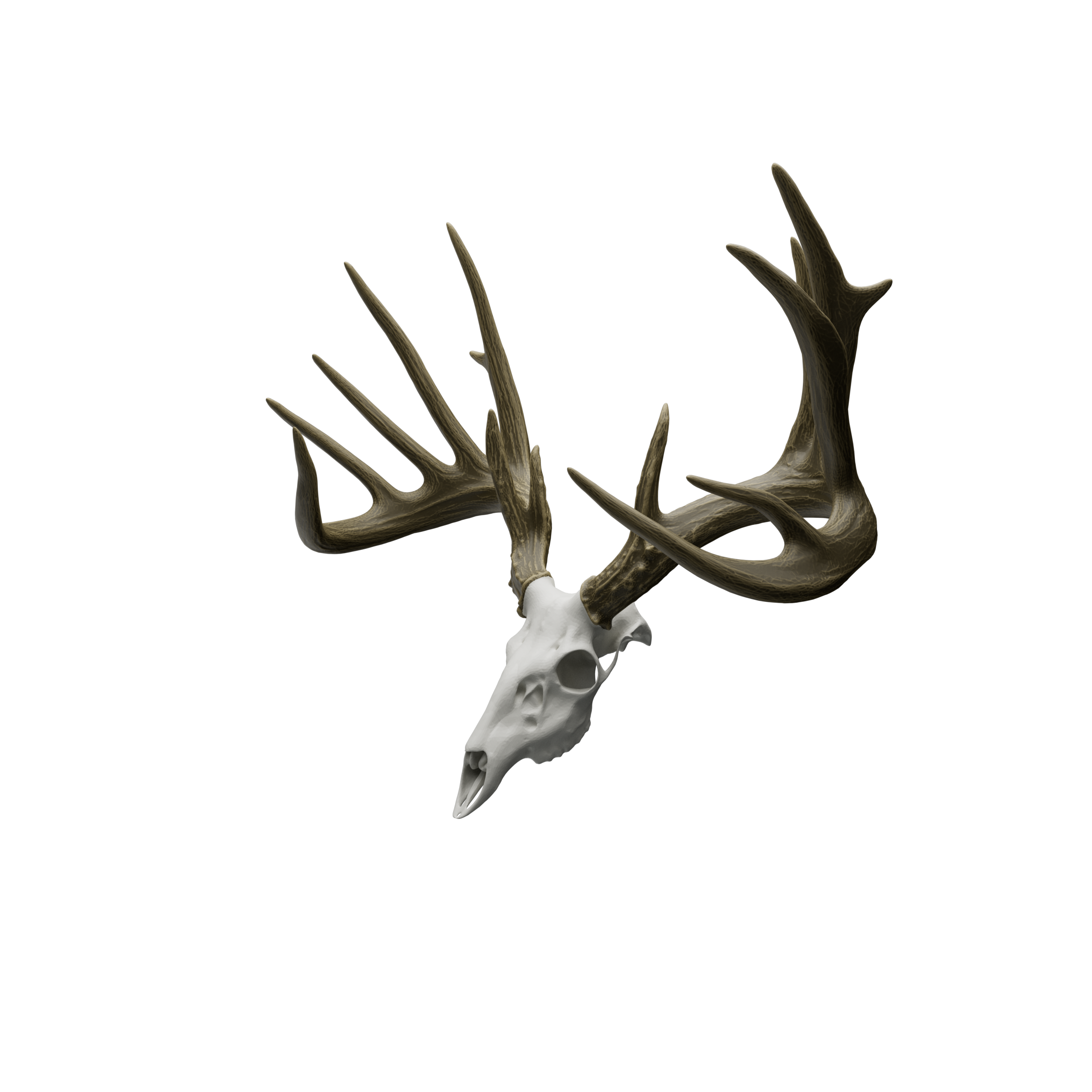 Replica Antlers