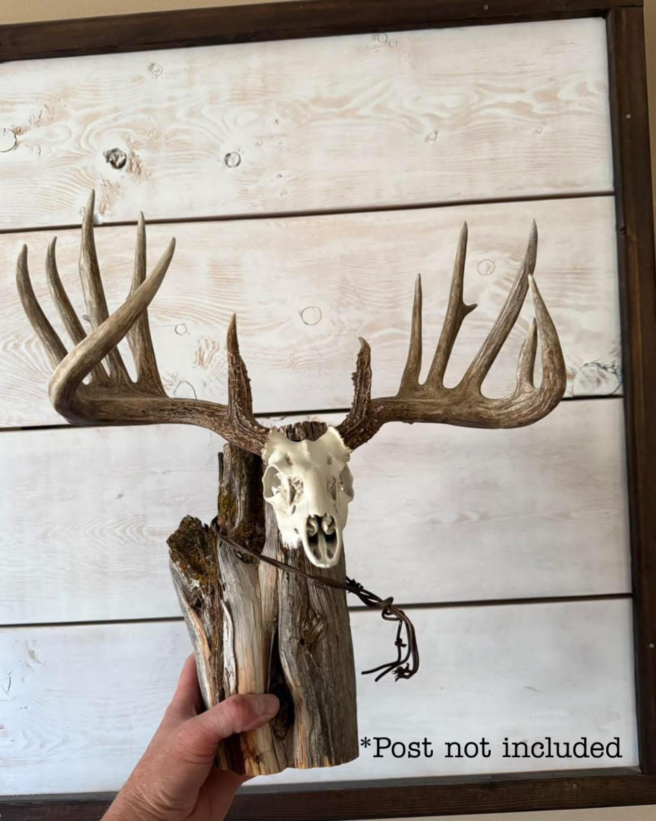 1/2 Scale Replica – 