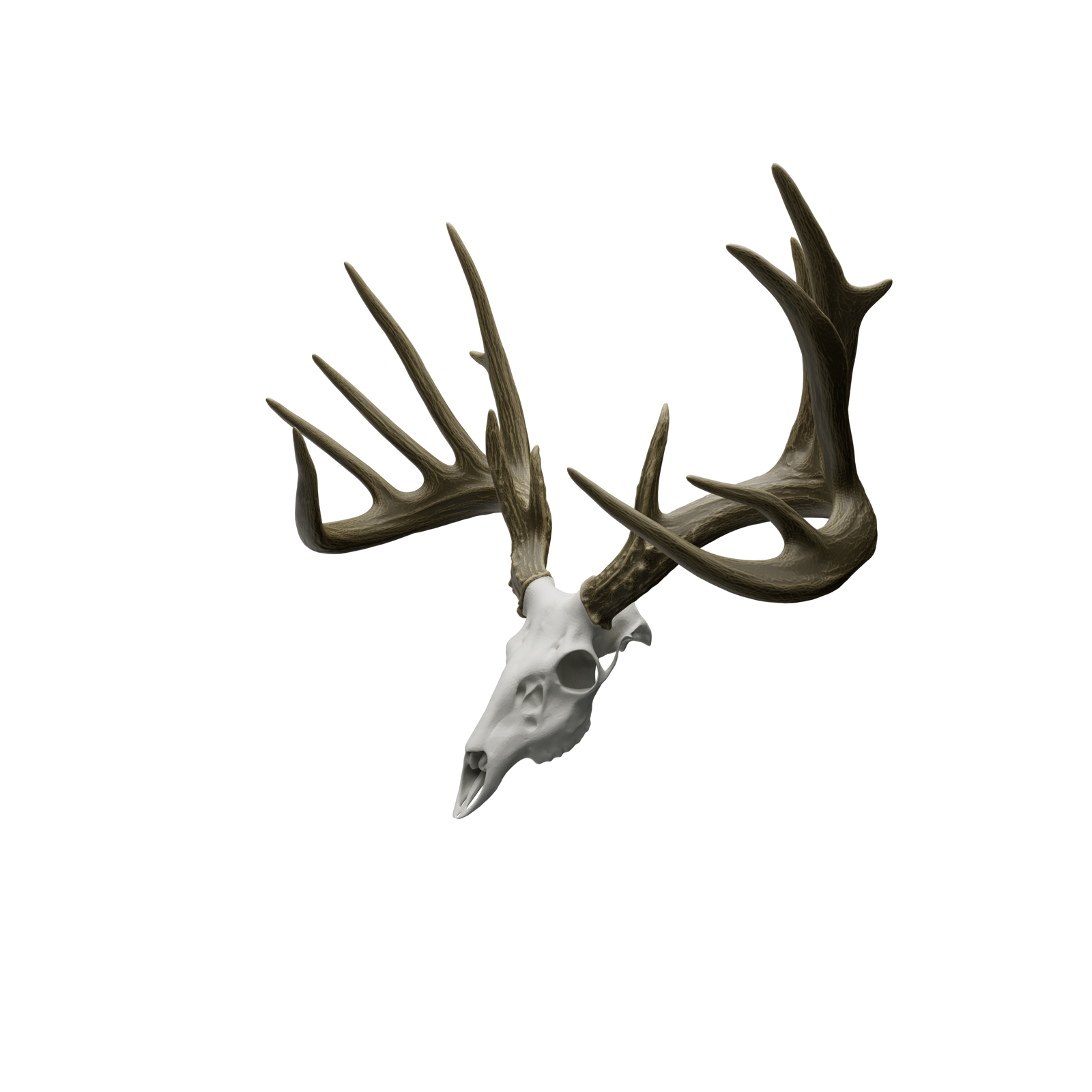 1/4 Scale Replica – Hand-Painted Acrylic