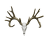 1/4 Scale Replica – Hand-Painted Acrylic