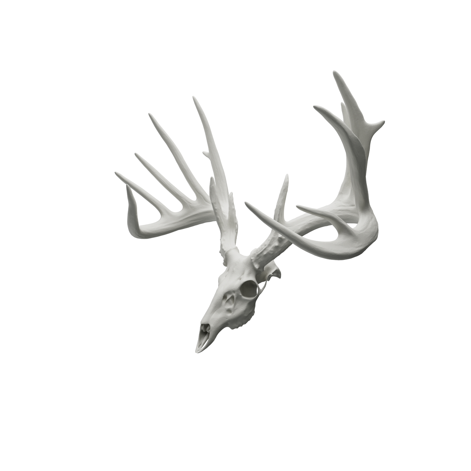 1/2 Scale Replica - Unpainted Resin