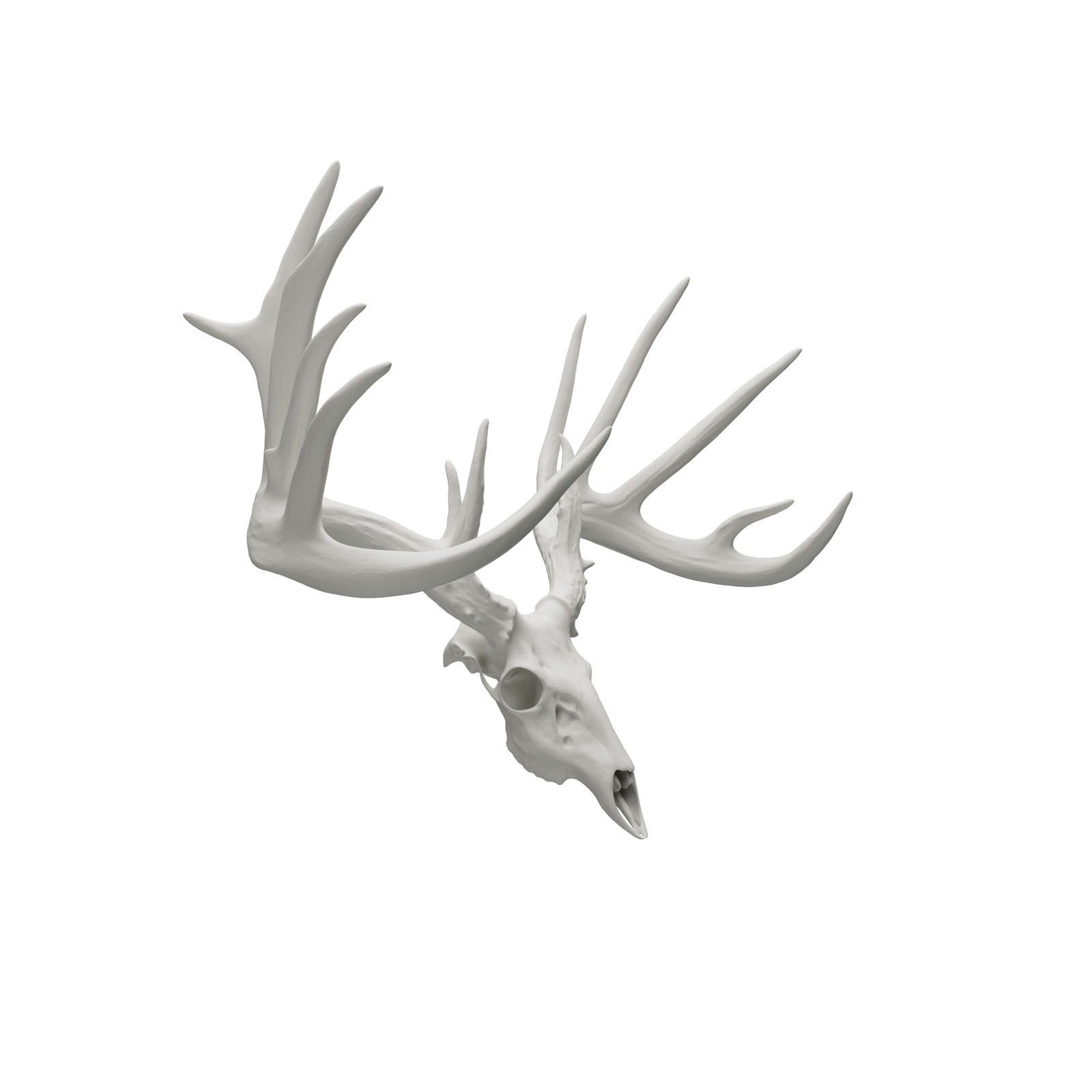 1/2 Scale Replica - Unpainted Resin