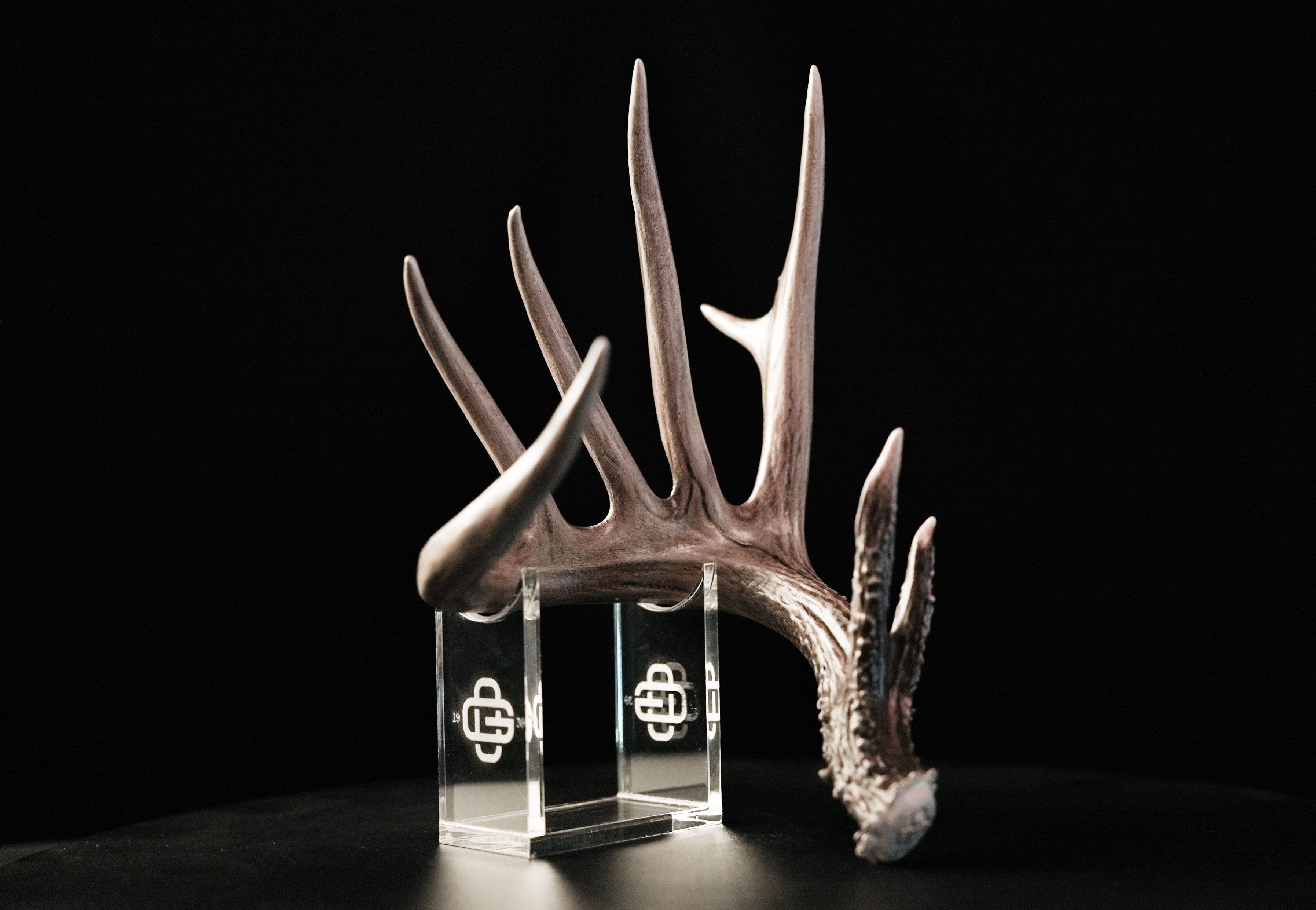1/2 Scale Replica Shed Antlers from "The General" (Hand Painted)