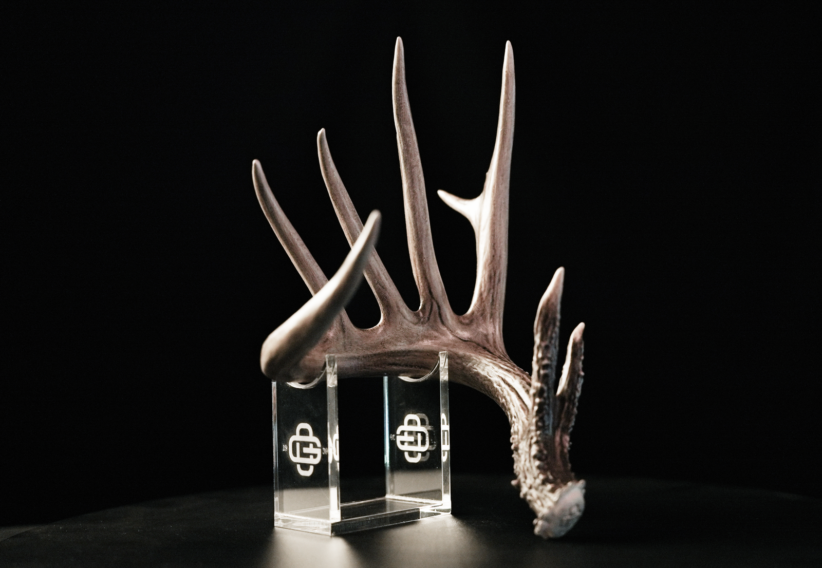 1/2 Scale Replica Shed Antlers from 