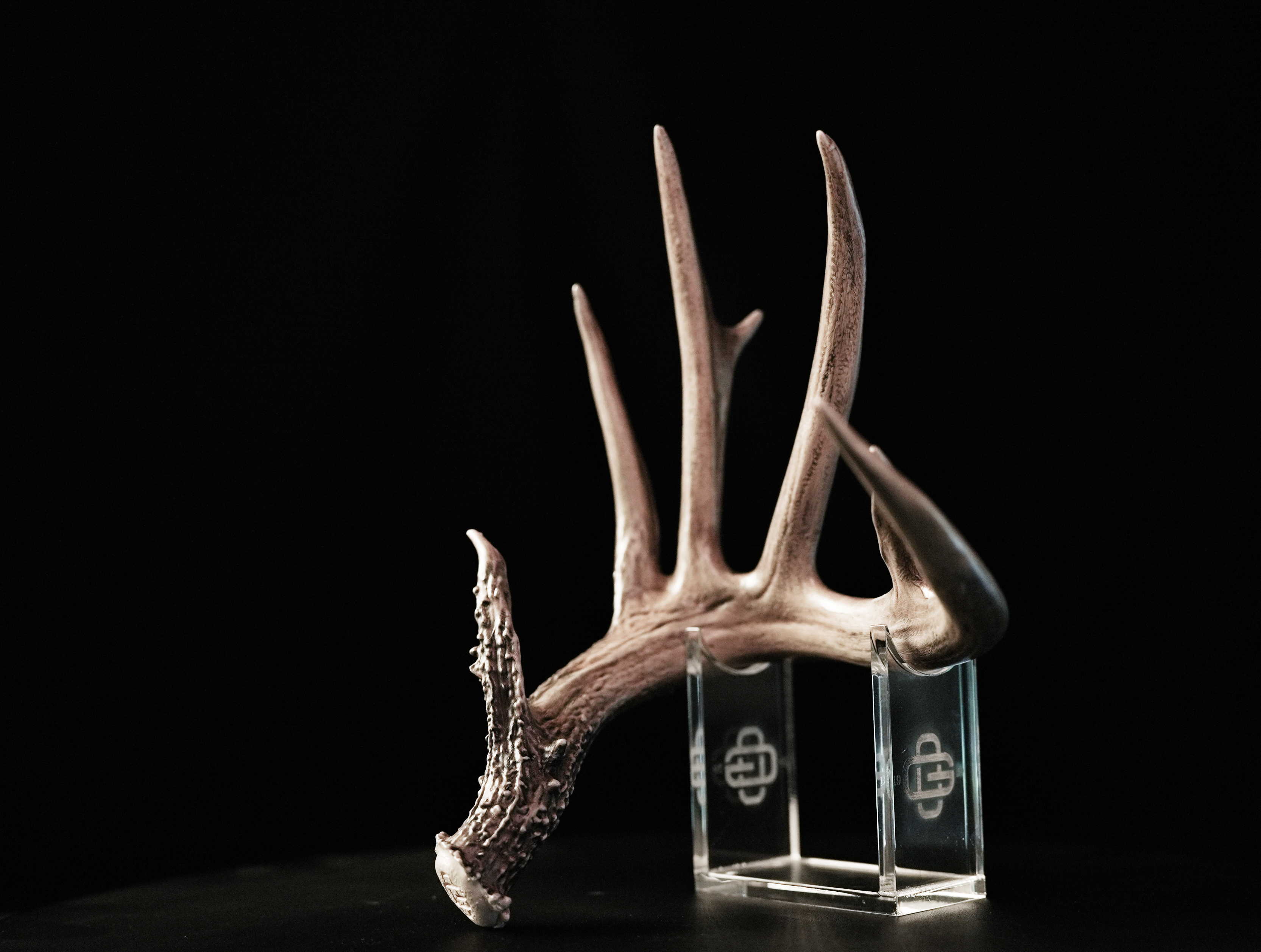 1/2 Scale Replica Shed Antlers from "The General" (Hand Painted)