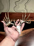1/4 Scale Replica – Hand-Painted Acrylic