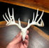 1/4 Scale Replica – Unpainted Resin